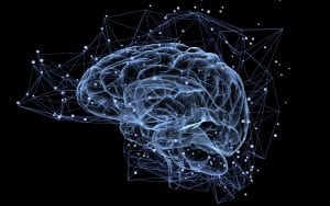 neuromarketing